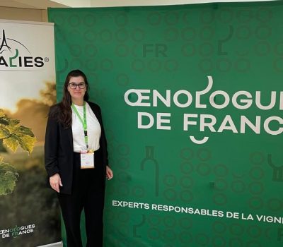 Paula Guerra Schenato-1