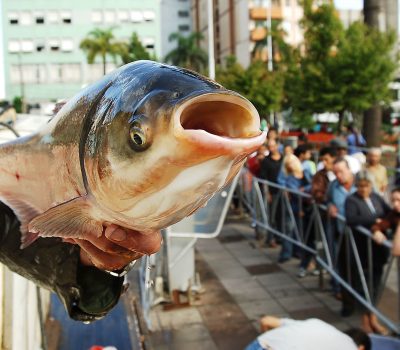 (Foto/ Luiz Chaves/Divulgação)