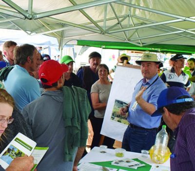 Pesquisador Marcos Botton orientou viticultores.