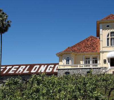 Vinícola é referência em vinhos e enoturismo.