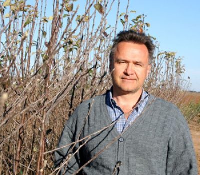 Roberto-Hauagge