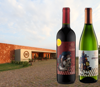 Rótulos lúdicos da Vinícola Campos de Cima