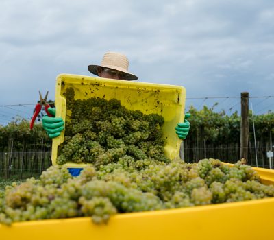 Foto: Anderson Pagani