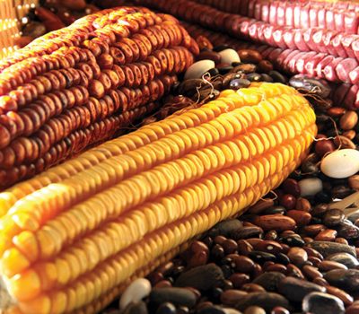 Foto: Paulo Lanzetta