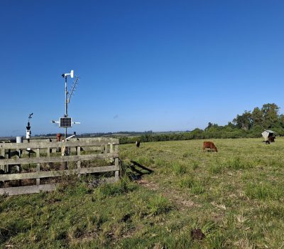 Foto: Fernando Dias/Ascom Seapi