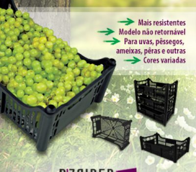 Caixa Para Fruta