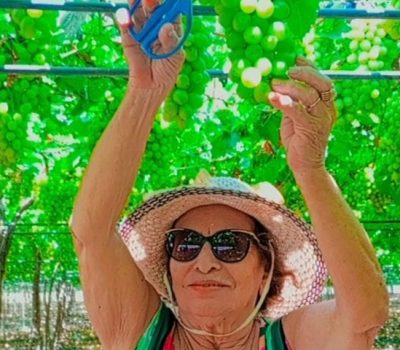 Vinhedos e Oportunidades Como o Vale do São Francisco busca seu espaço no enoturismo (2)