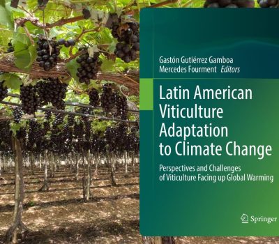 ARTIGO DE OPINIÃO (Apresentação) - 8