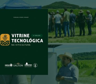 Vitrine Tecnológica na Campanha Gaúcha 91).png