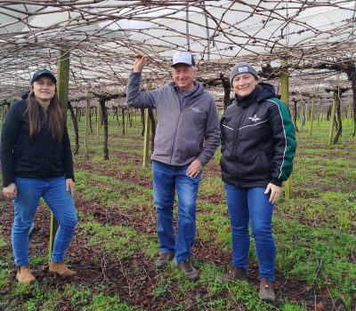Viveiros Molon compartilha orientações para sucesso no plantio de videiras no Brasil (4)