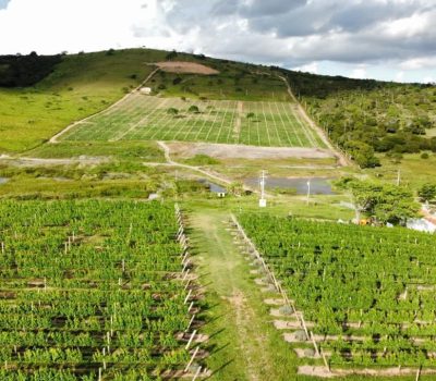 WhatsApp Image 2025-04-16 at 16.57.34