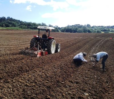 Foto/ Divulgação Emater/RS-Ascar