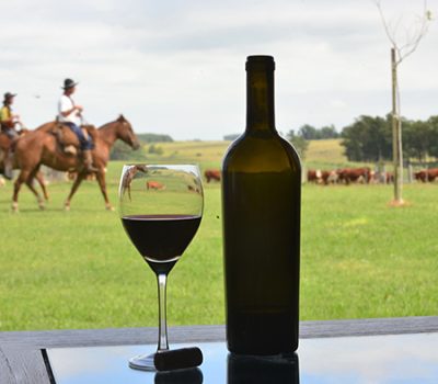 Vinícolas históricas e novos nomes consagram a região.