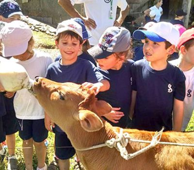 Passeio de carretão, piquenique, lida com os animais e brincadeiras antigas são algumas das atividades desenvolvidas pelo Roteiro Compassos da Mérica Mérica, em Flores da Cunha.
Fotos/Divulgação