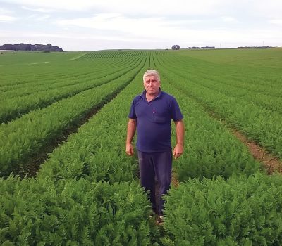 O produtor Roque José Garibaldi é o terceiro maior produtor de cenouras do Paraná. São 150 mil quilos por mês