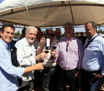 credito-Manu-Dias-GOVBA-7_