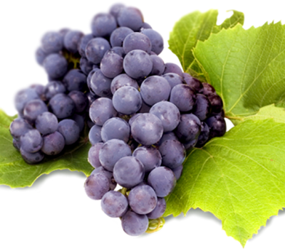 grape