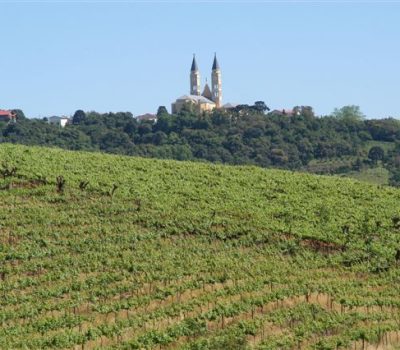 (Foto: Divulgação)