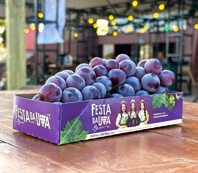 Uva orgânica distribuída na Festa da Uva - Foto: Pedro Henrique/Dinâmica