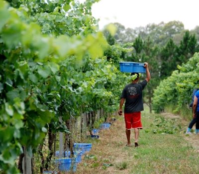 Foto/Jornal O Florense