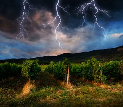 storm_wine