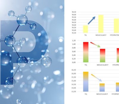 vason mólecula P capa